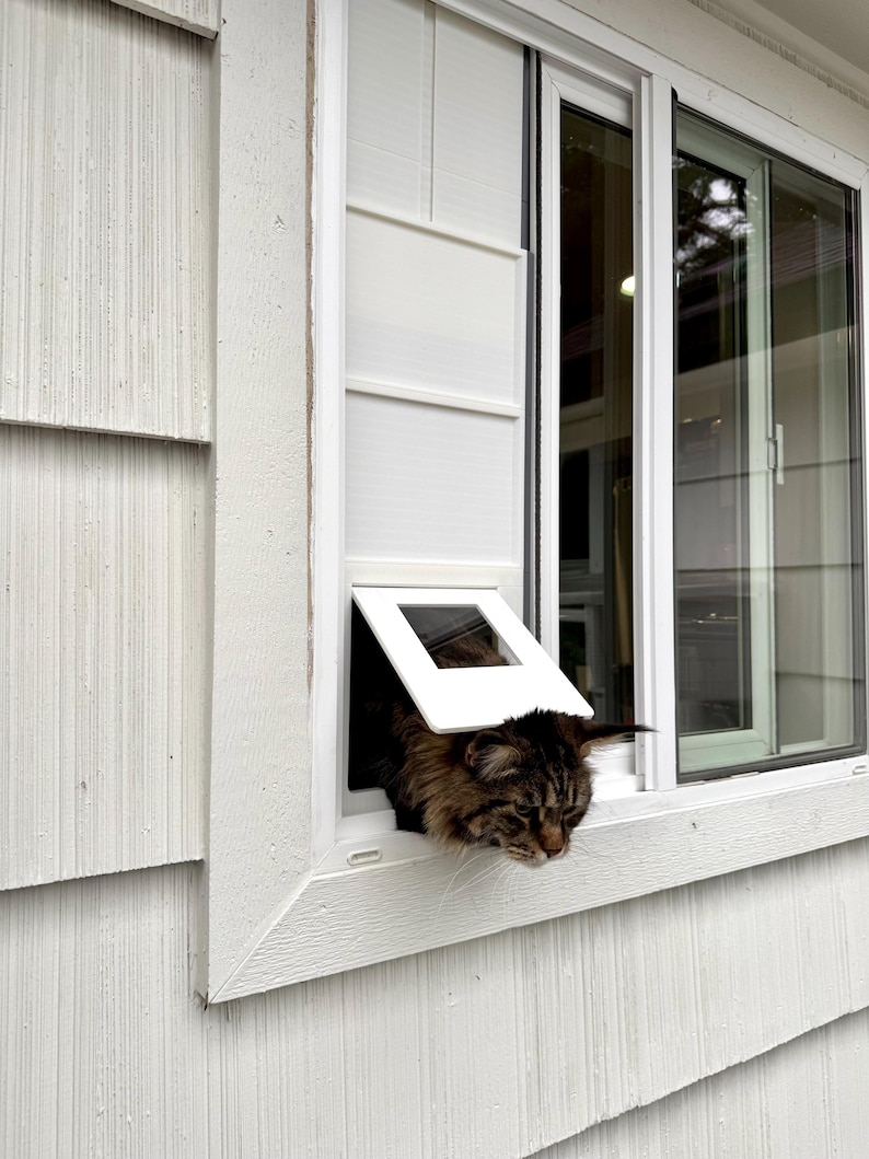 Cat using the window insert cat door installed in a sliding window