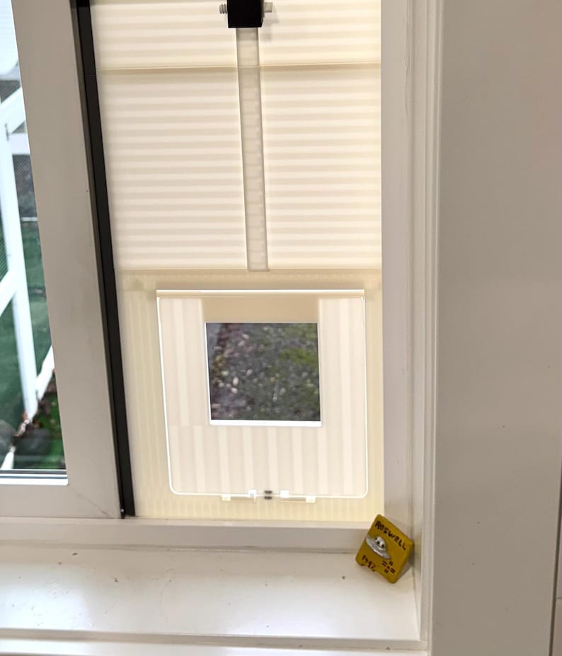 View through a sliding window cat door insert looking out into a screened catio enclosure